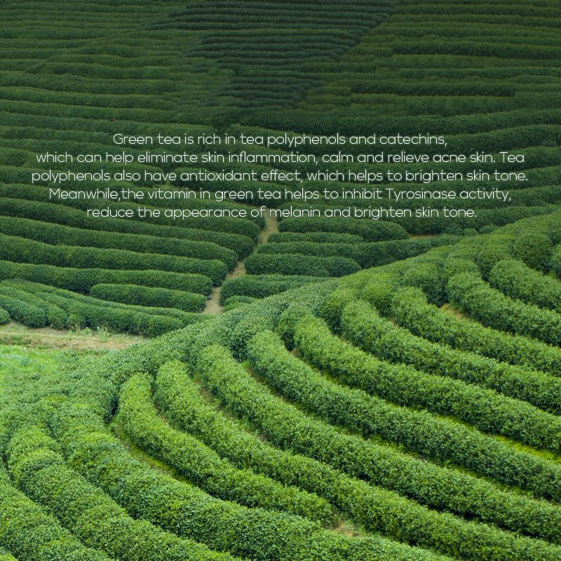 Green Tea Toner 100ml Moisturizing Lotion Skin Care Products - Image 4