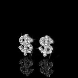 1 Pair Dollar Symbol Glitter Punk Style Unisex Hoop Earrings, Valentine's Day Gift