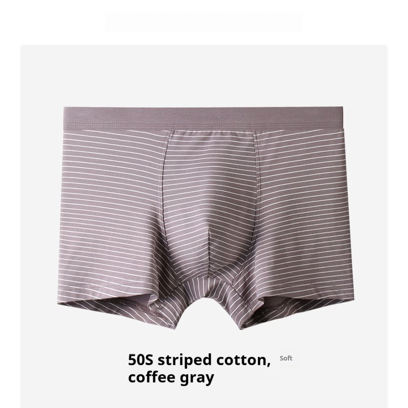 Summer Men's Underwear Modal Cotton Boxer - Image 2