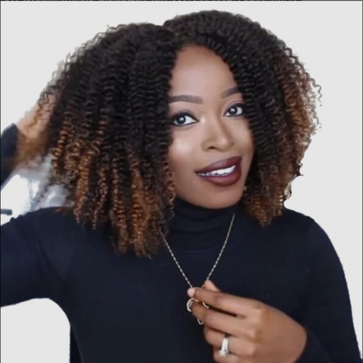 Wig Black Brown African Small Curly Short Curly Hair Synthetic Wigs - Image 2